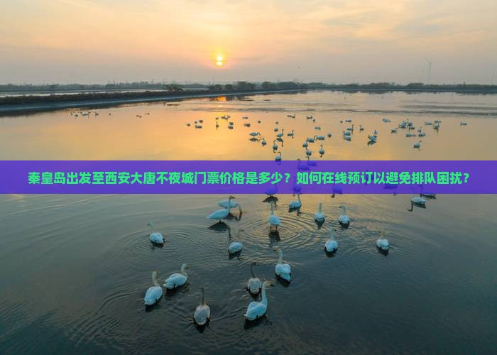 秦皇岛出发至西安大唐不夜城门票价格是多少？如何在线预订以避免排队困扰？