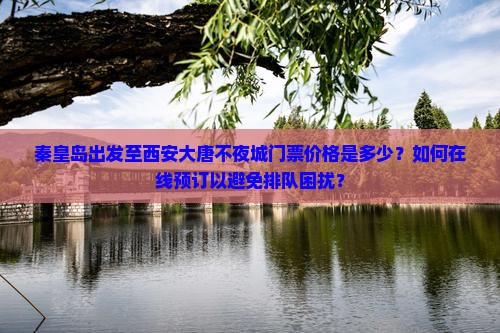秦皇岛出发至西安大唐不夜城门票价格是多少？如何在线预订以避免排队困扰？