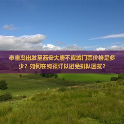 秦皇岛出发至西安大唐不夜城门票价格是多少？如何在线预订以避免排队困扰？
