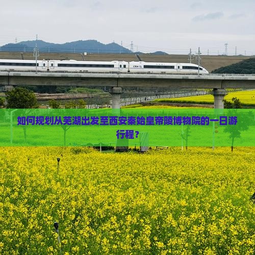 如何规划从芜湖出发至西安秦始皇帝陵博物院的一日游行程？