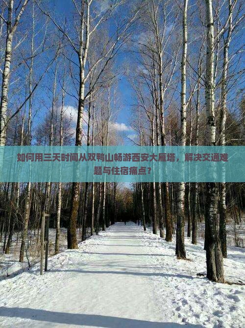 如何用三天时间从双鸭山畅游西安大雁塔，解决交通难题与住宿痛点？