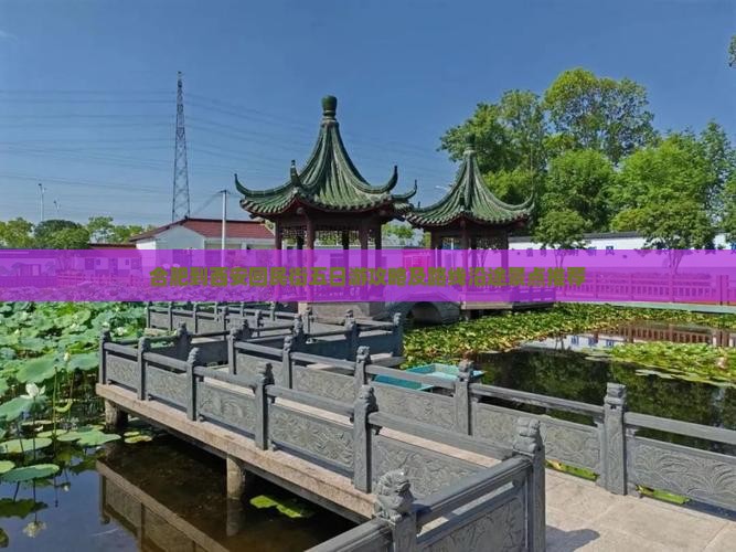 合肥到西安回民街五日游攻略及路线沿途景点推荐