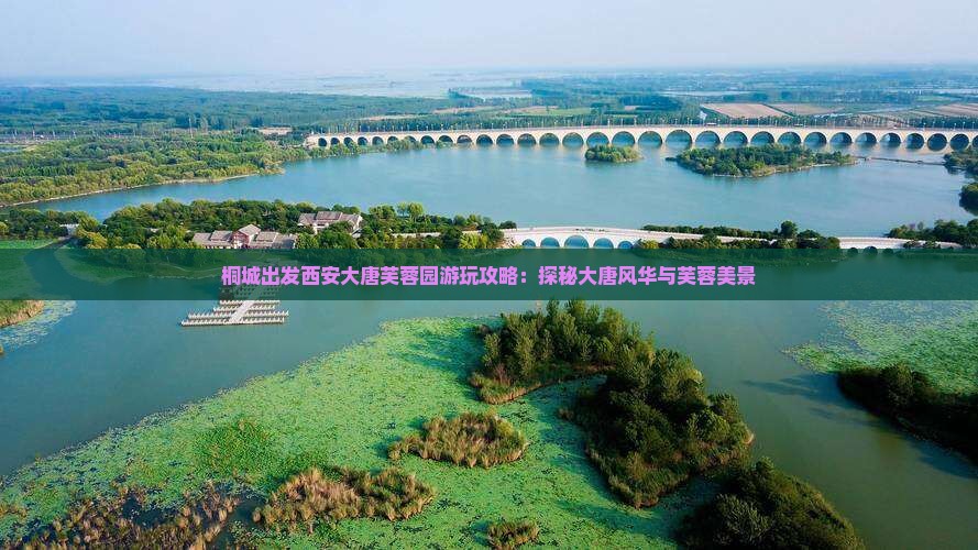 桐城出发西安大唐芙蓉园游玩攻略：探秘大唐风华与芙蓉美景