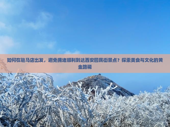 如何在驻马店出发，避免拥堵顺利到达西安回民街景点？探索美食与文化的黄金路稀