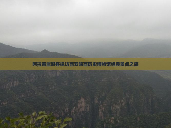 阿拉善盟游客探访西安陕西历史博物馆经典景点之旅