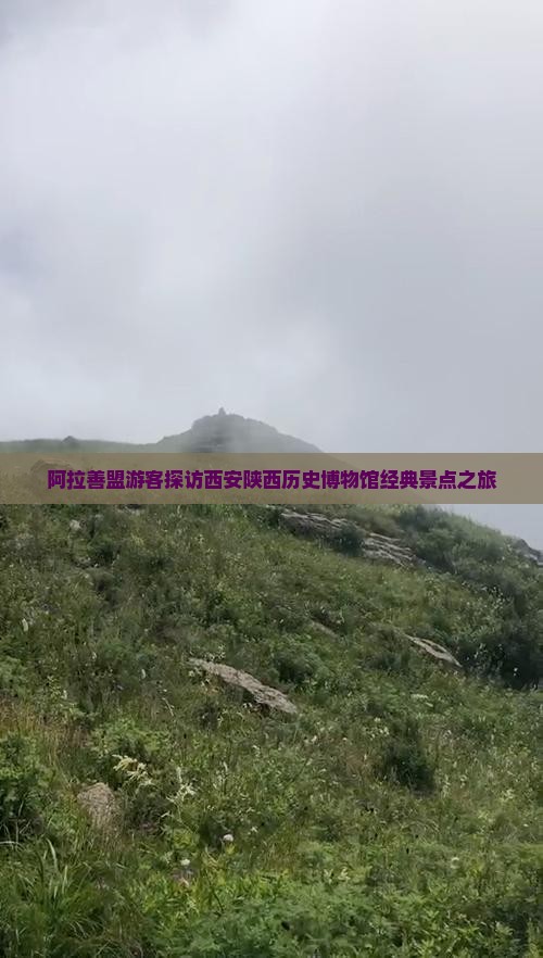 阿拉善盟游客探访西安陕西历史博物馆经典景点之旅