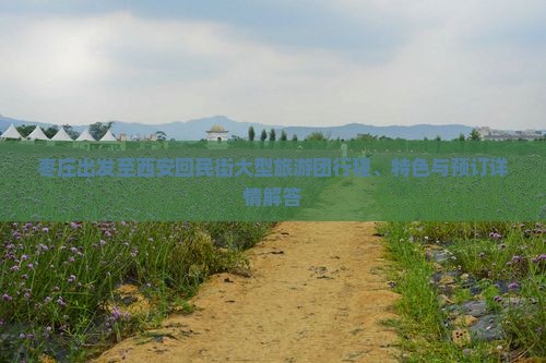 枣庄出发至西安回民街大型旅游团行程、特色与预订详情解答