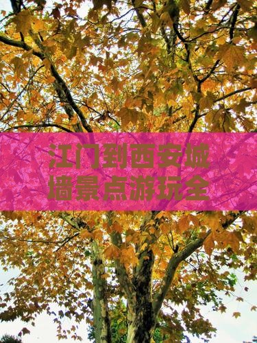 江门到西安城墙景点游玩全攻略