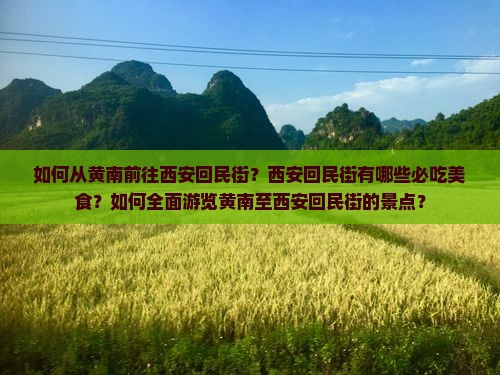 如何从黄南前往西安回民街？西安回民街有哪些必吃美食？如何全面游览黄南至西安回民街的景点？