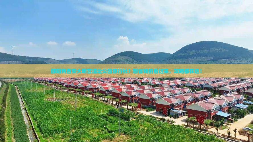 邵阳到西安大明宫遗址公园旅行社？想省钱的看过来，攻略都在这！