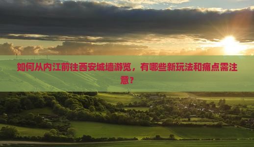 如何从内江前往西安城墙游览，有哪些新玩法和痛点需注意？