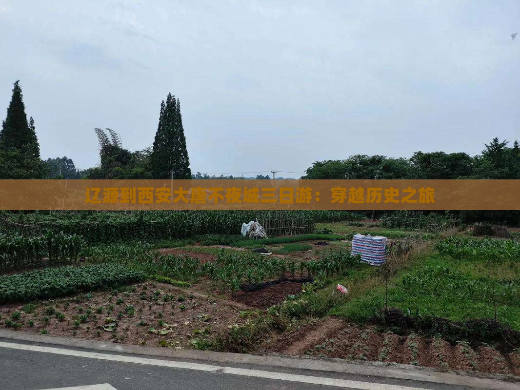辽源到西安大唐不夜城三日游：穿越历史之旅
