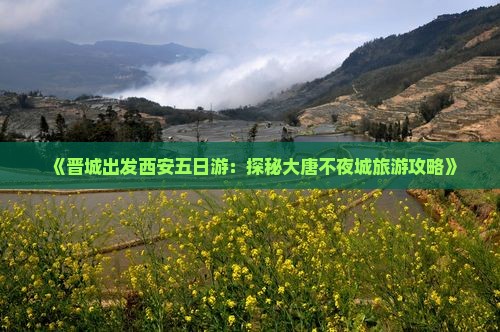 《晋城出发西安五日游：探秘大唐不夜城旅游攻略》