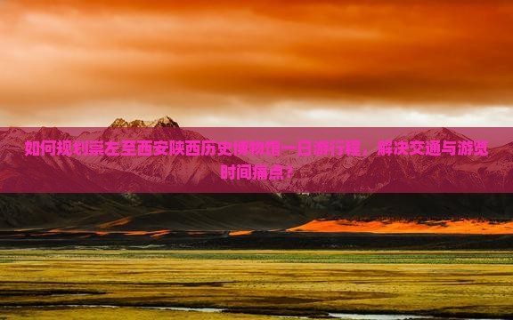 如何规划崇左至西安陕西历史博物馆一日游行程，解决交通与游览时间痛点？
