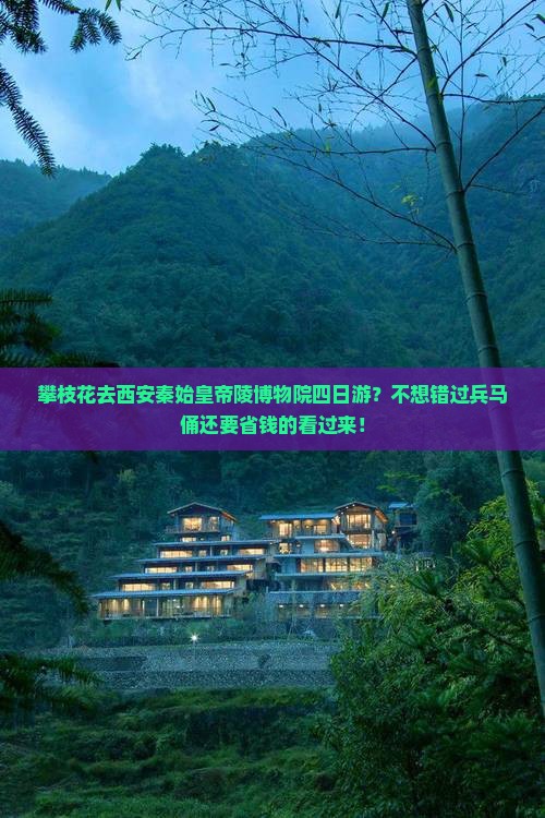 攀枝花去西安秦始皇帝陵博物院四日游？不想错过兵马俑还要省钱的看过来！