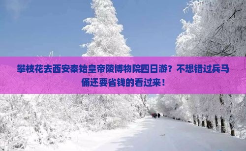 攀枝花去西安秦始皇帝陵博物院四日游？不想错过兵马俑还要省钱的看过来！