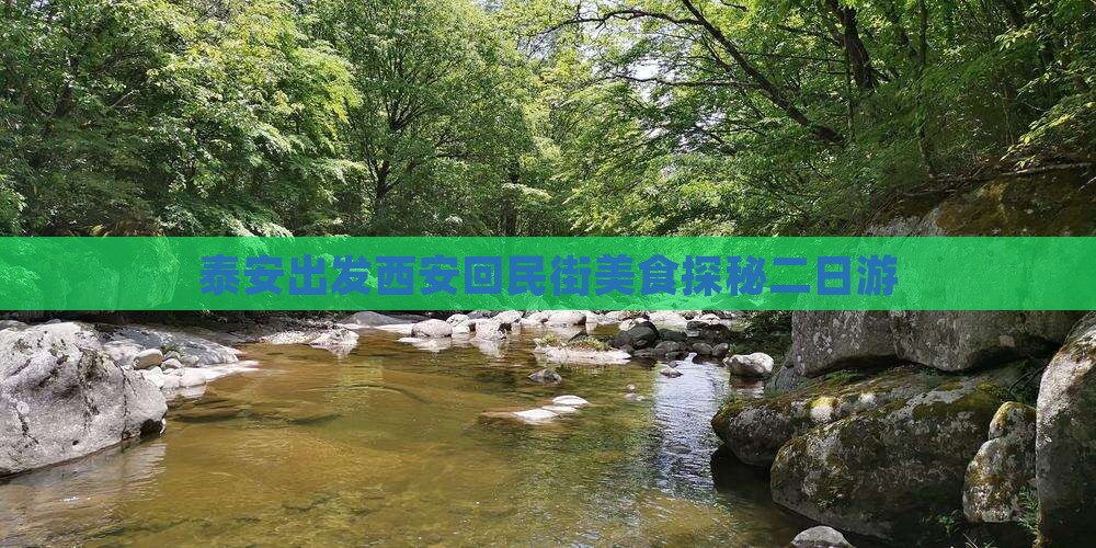 泰安出发西安回民街美食探秘二日游
