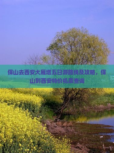 保山去西安大雁塔五日游路线及攻略，保山到西安特价机票查询