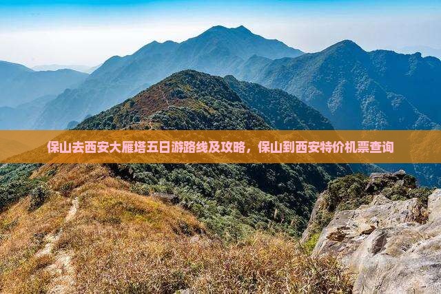 保山去西安大雁塔五日游路线及攻略，保山到西安特价机票查询