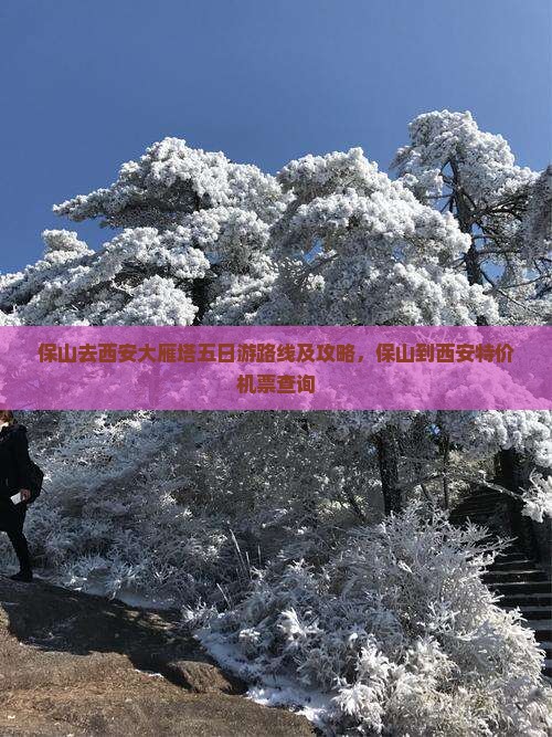 保山去西安大雁塔五日游路线及攻略，保山到西安特价机票查询