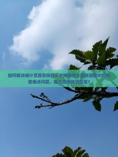 如何解决喀什至西安陕西历史博物馆大型旅游团中的游客痛点问题，提升旅游体验质量？