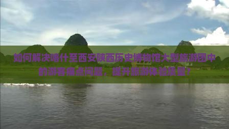 如何解决喀什至西安陕西历史博物馆大型旅游团中的游客痛点问题，提升旅游体验质量？