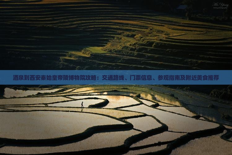 酒泉到西安秦始皇帝陵博物院攻略：交通路线、门票信息、参观指南及附近美食推荐