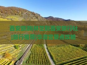 西安旅游|林芝到西安旅行社|旅行推荐|华清宫景点攻略