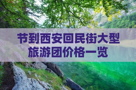 节到西安回民街大型旅游团价格一览