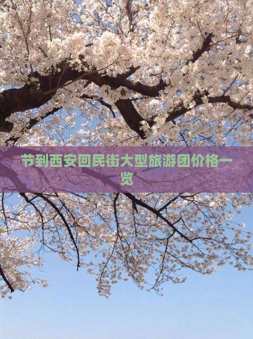 节到西安回民街大型旅游团价格一览