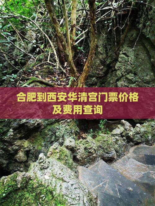 合肥到西安华清宫门票价格及费用查询