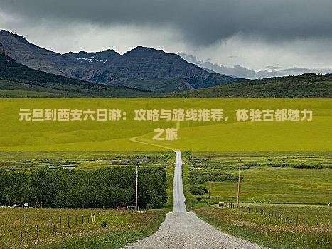 元旦到西安六日游：攻略与路线推荐，体验古都魅力之旅