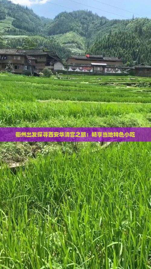 衢州出发探寻西安华清宫之旅：畅享当地特色小吃