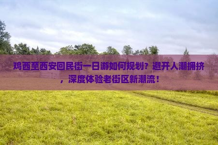 鸡西至西安回民街一日游如何规划？避开人潮拥挤，深度体验老街区新潮流！