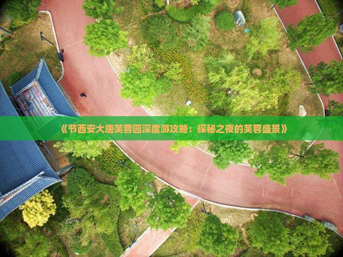 《节西安大唐芙蓉园深度游攻略：探秘之夜的芙蓉盛景》
