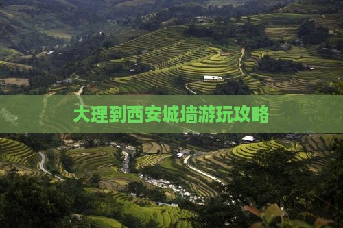 大理到西安城墙游玩攻略