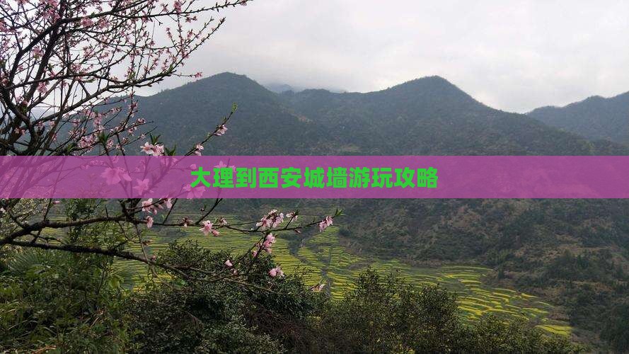 大理到西安城墙游玩攻略