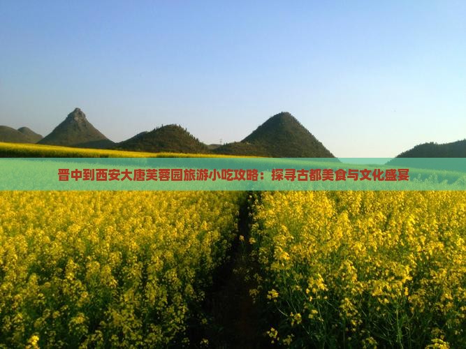 晋中到西安大唐芙蓉园旅游小吃攻略：探寻古都美食与文化盛宴