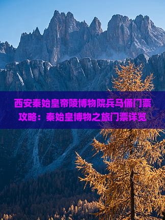 西安秦始皇帝陵博物院兵马俑门票攻略：秦始皇博物之旅门票详览