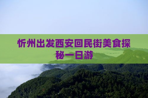 忻州出发西安回民街美食探秘一日游