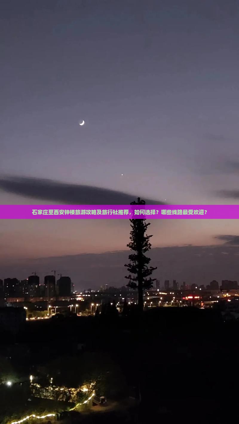 石家庄至西安钟楼旅游攻略及旅行社推荐，如何选择？哪些线路最受欢迎？