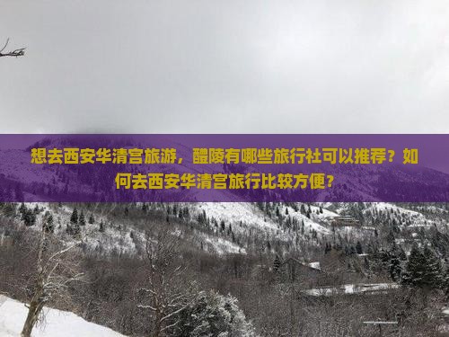 想去西安华清宫旅游，醴陵有哪些旅行社可以推荐？如何去西安华清宫旅行比较方便？
