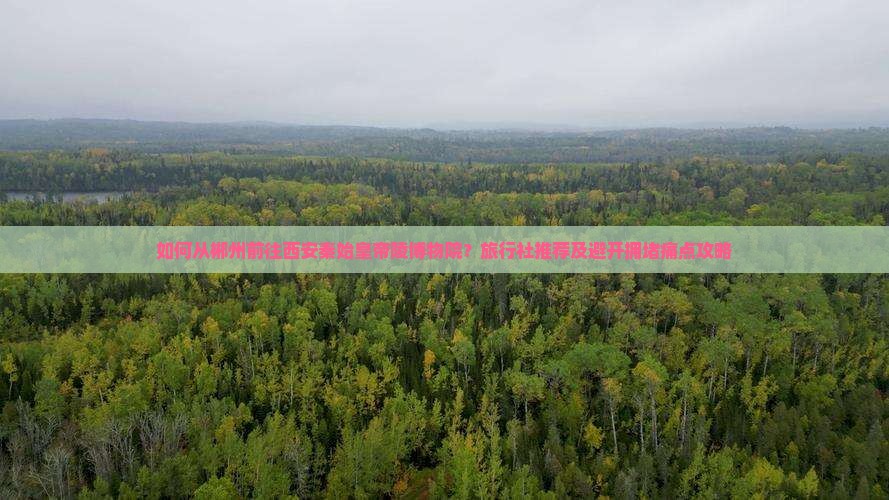 如何从郴州前往西安秦始皇帝陵博物院？旅行社推荐及避开拥堵痛点攻略