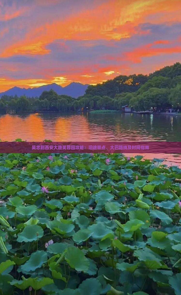 吴忠到西安大唐芙蓉园攻略：沿途景点、大巴路线及时间指南