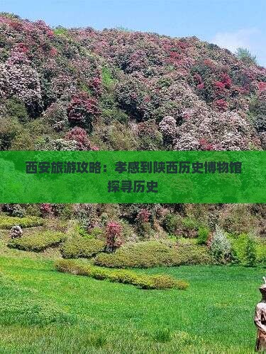 西安旅游攻略：孝感到陕西历史博物馆探寻历史