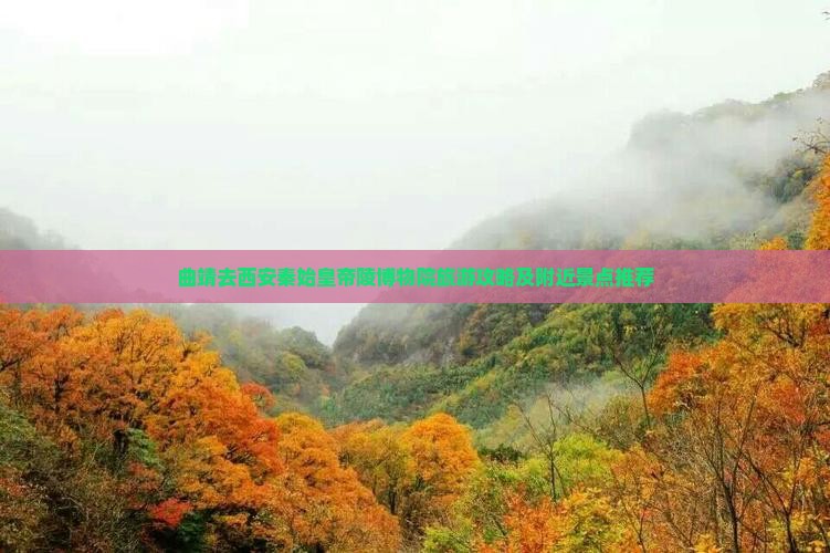 曲靖去西安秦始皇帝陵博物院旅游攻略及附近景点推荐