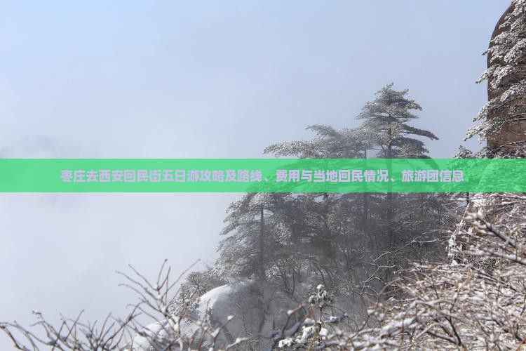 枣庄去西安回民街五日游攻略及路线、费用与当地回民情况、旅游团信息