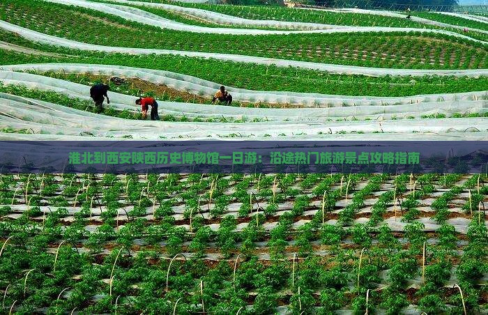 淮北到西安陕西历史博物馆一日游：沿途热门旅游景点攻略指南