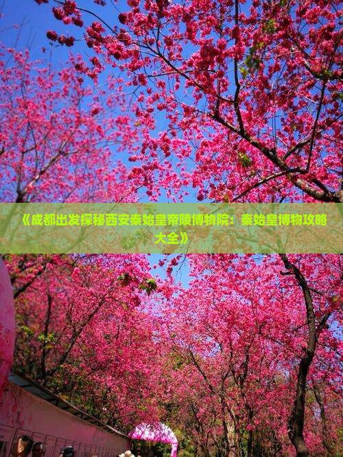 《成都出发探秘西安秦始皇帝陵博物院：秦始皇博物攻略大全》