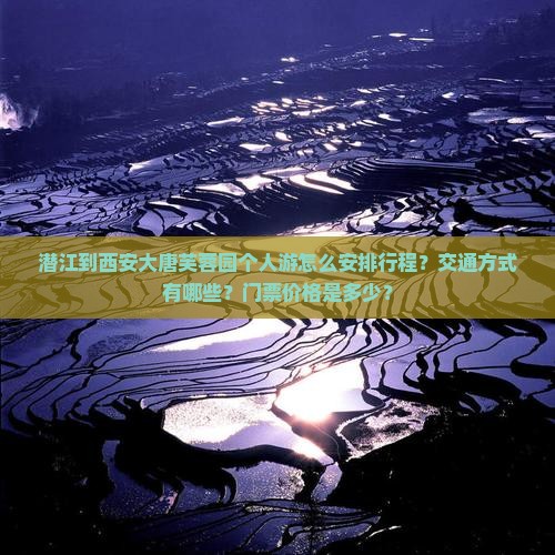 潜江到西安大唐芙蓉园个人游怎么安排行程？交通方式有哪些？门票价格是多少？